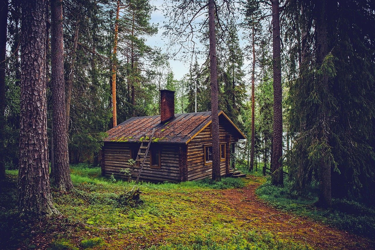 log cottage trees